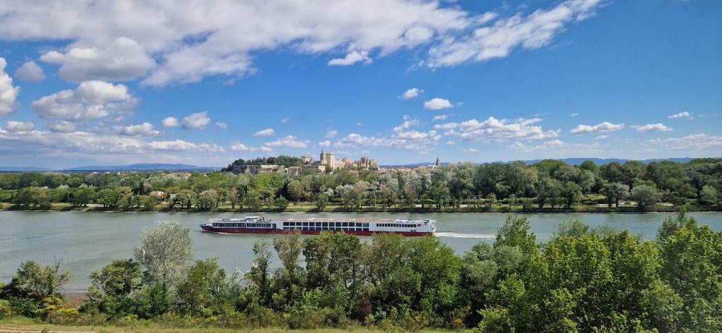 Charmante Petite Maison Avec Vue Panoramique, En Centre Historique, Proche D'Avignon, Ancienne, Renovee, Climatisee, Terrasse, Parking Public Gratuit Вильнёв-ле-Авиньон Экстерьер фото
